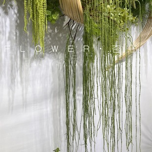 ���Lǧ�z�f�|���滨ܛ�z���׾��lɭϵܛ�b���͵�픾Gֲ�G�~���X��