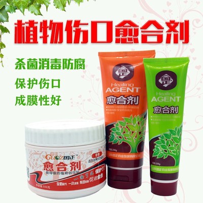 Monstera Wound Heal Botany Fruit tree bonsai Pruning Seal disinfect grafting Anticorrosive artificial bark