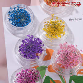 美甲干花批发盒装网红爆款diy立体彩色花瓣蕾丝花指甲装饰品配饰