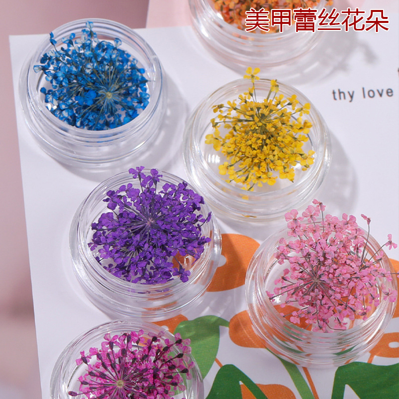 Nail art dried flower wholesale boxed Internet red explosions diy three-dimensional color petals lace flower nail decorations accessories