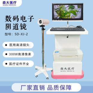 �t�Ô��a���ꎵ��R300W���؋D��ꎵ��z���R�ȸQ�R��y�D�ƙz�y