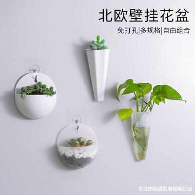 C2660水培壁挂花盆墙壁悬挂式插花瓶懒人塑料墙上挂墙绿萝挂花盆|ru