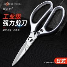 NòPuǼ⚢~ӸӲȹIÿpС