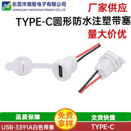 type-c圆形防水母座带2芯注塑白色电源充电口螺纹式配螺母+防尘塞