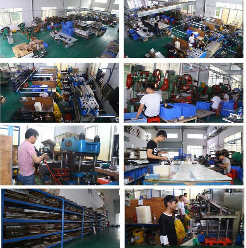 12379116769_43519856