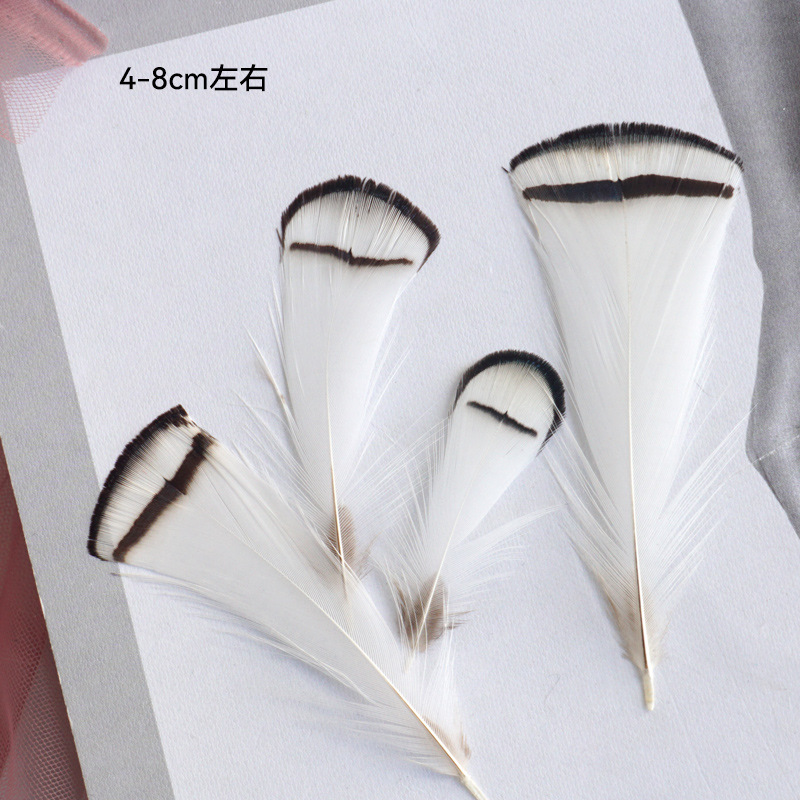 SKU-60-浅灰色 铜鸡白头片50根.jpg