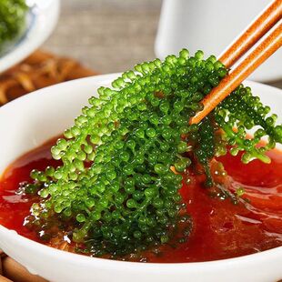 �����]�����r�������L�۲˺���ȹ���˺��ײ˼�ʳ����˾Gɫ�~���u