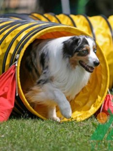 ���⌙�ﹷِ���\�ӳߴ縂ِ���������¿����ݴ���TUNN���EL��