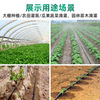 PE tube water -saving water -saving water irrigated semaphone agricultural water band greenhouse inlaid patch drip irrigation belt in the drip pipe