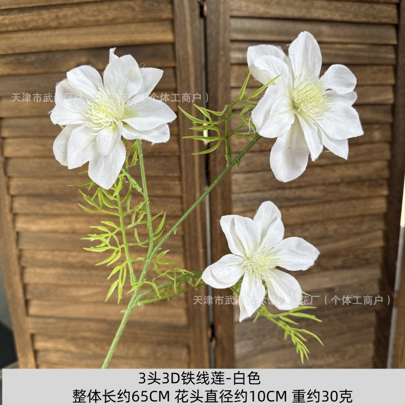 3D 클레마티스