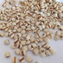 【同稳药材】薏苡仁 98米小薏苡仁新货 玉米  无杂粒 品种齐全