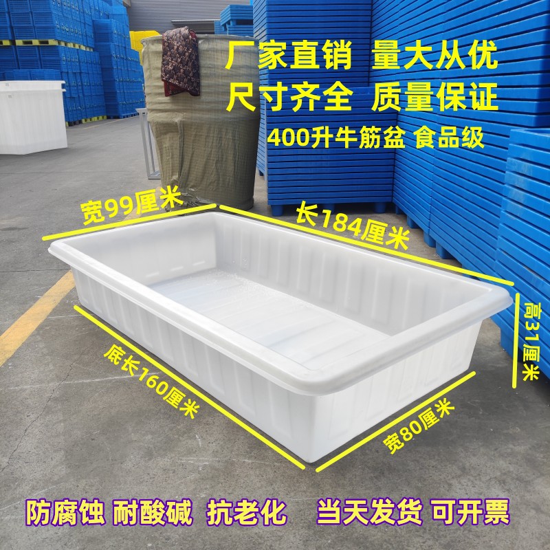 400浅盆短.jpg