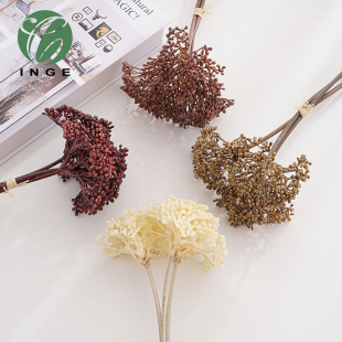 ���滨���}�����й���������ľƵ�ҾӔzӰ���߲����廨��ɫ���m