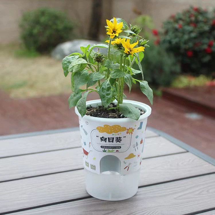 Детский сад Детская чашка для чая с молоком DIY игрушки для посадки растений в горшке креативный подарок для студентов Lele Настольный подарок с растением в горшке