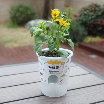 幼儿园儿童DIY奶茶杯盆栽种植玩具学生创意礼品乐乐桌面盆栽礼品
