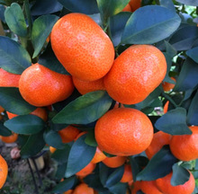 ������ ������ �۾� �t���˽��� ����Ƥ��֭���o�˼޽ӹ�����