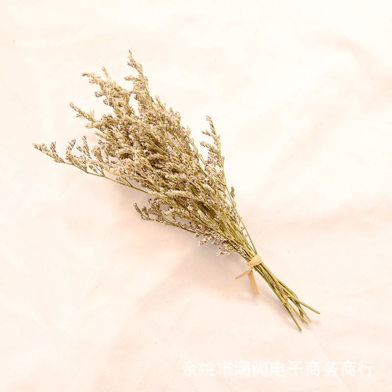 Flores secas transfronterizas ramo pequeño Cielo estrellado amante de la hierba nome olvides de la vida eterna decenas de millones de estrellas caja de regalo decoración florero pequeño ramo