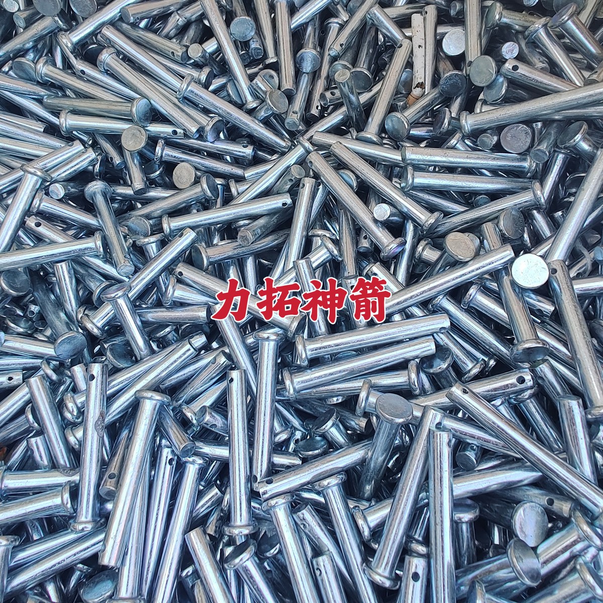 微信图片_20231127125621