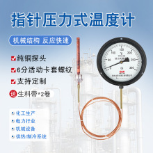 压力式温度计工业高精度指针式温度表锅炉水温油温液体蒸汽测温仪