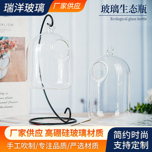 Glass Eco-Bottle Moss Succulent Micro-Landscape Hanging Bottle Hydroponic Plant Pothos Bottle Hanging Ball Creative Design