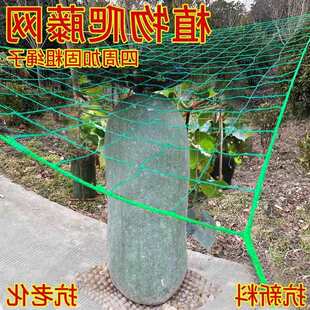 ֲ�����پW�����߹��z�Ͽ�ϵ������ѹ��V���������W��������پW