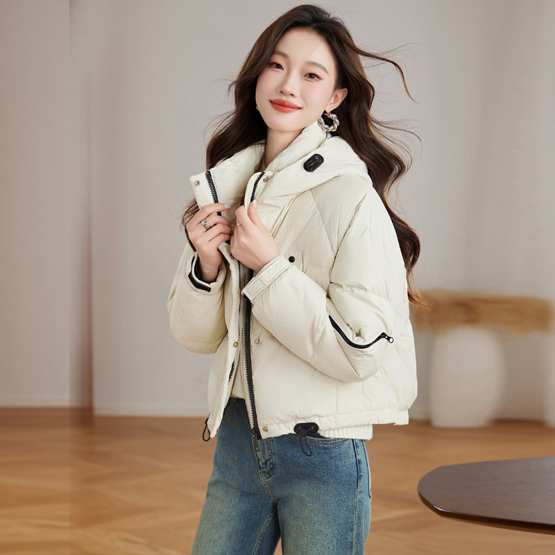 베이지
