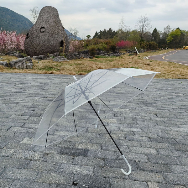 Umbrella