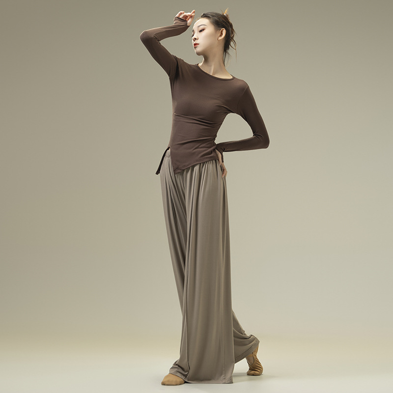 2024 New Modern Dance Practice Clothes, Dance Clothes, Classical Dance Basic Training Clothes, Loose Tops, Yoga Chinese Dance Art Test