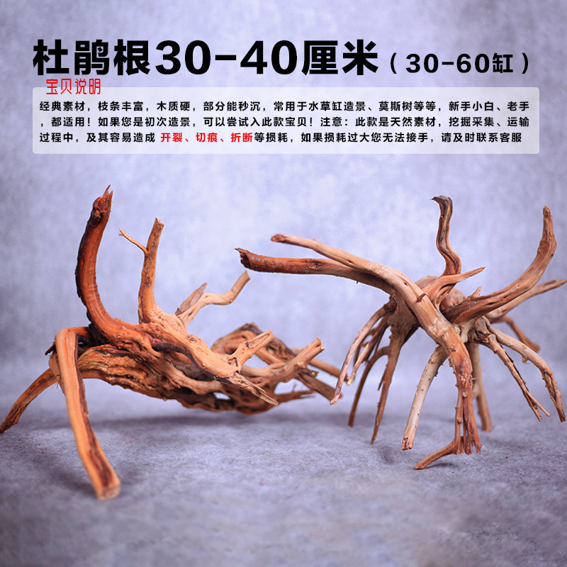沉木杜鹃根鱼缸造景真木头鱼虾躲避南美风格晒台拱桥多枝精选套餐|undefined