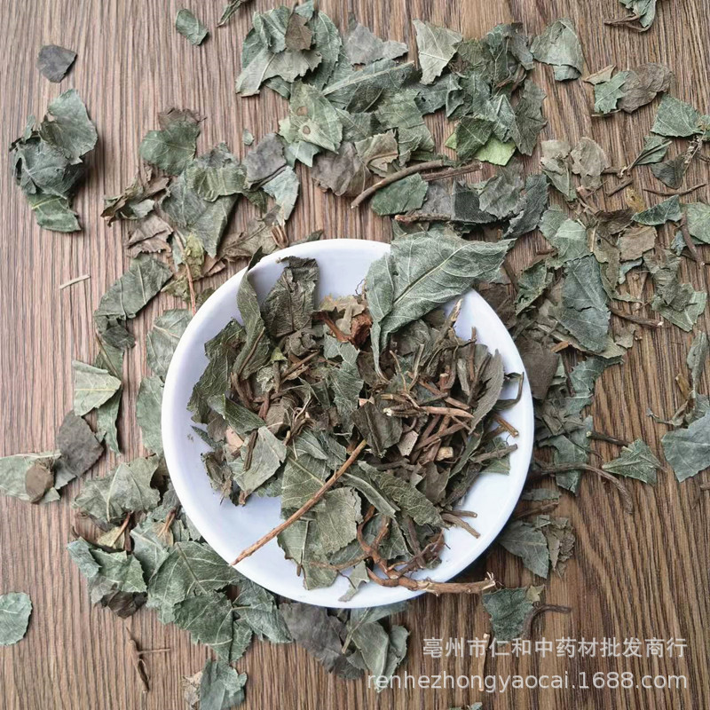 Dried Ai Di Tea Herb Ardisia Japonica Whole Herb Traditional TCM Decoction Herb Bulk Supply quality and texture