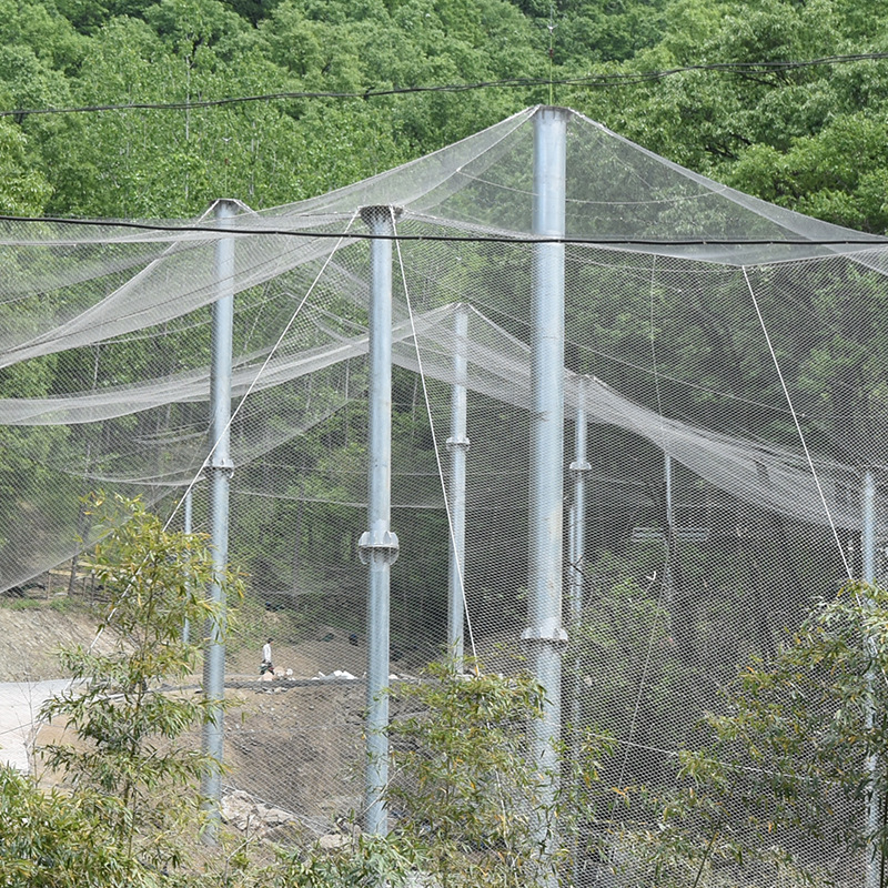 304不锈钢绳网鸟语林网动物园防护网百鸟园网阳台防护网钢丝绳网