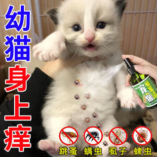 ����ȫ��������؈؈���w����xС؈ȥ��ʭ���������x��x����