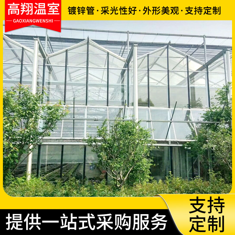 玻璃温室大棚智能温室花卉棚厂家供应蔬菜镀锌阳光连栋大棚