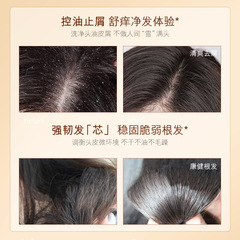 Manufacturer wholesale ginger shampoo, ginger shampoo, hair care, oil control, improves frizz ginger hair wash foam