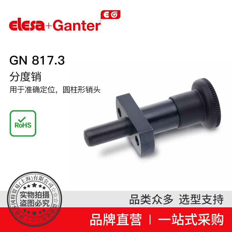 Elesa Ganter伊莉莎冈特 GN 817.3 分度销 用于精确定位