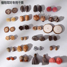 ֲhȻɹϹDIYςԄС