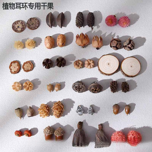 ֲ����h��Ȼ�ɹ��Ϲ�DIY����ς��Ԅ���С�������������