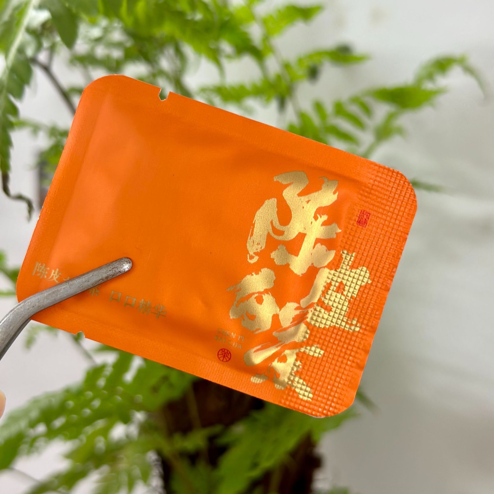 微信图片_20241010162210