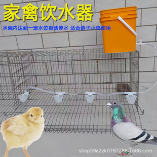 �����ˮ���ԄӺ�ˮ�����rС�u�g���ˮ��ιˮ�������B�u���u��