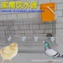 养鸡自动饮水碗