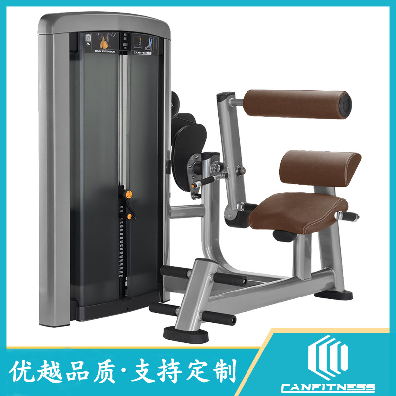 健身器材工厂室内背肌训练器训练器商用健身房全套设备商用器械