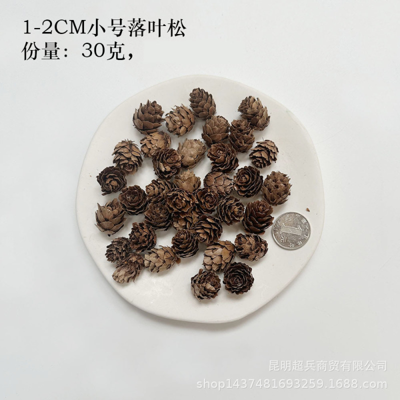 【各种果实类干花】圣诞果实类装饰品干花干果香薰蜡烛DIY橡果精|undefined