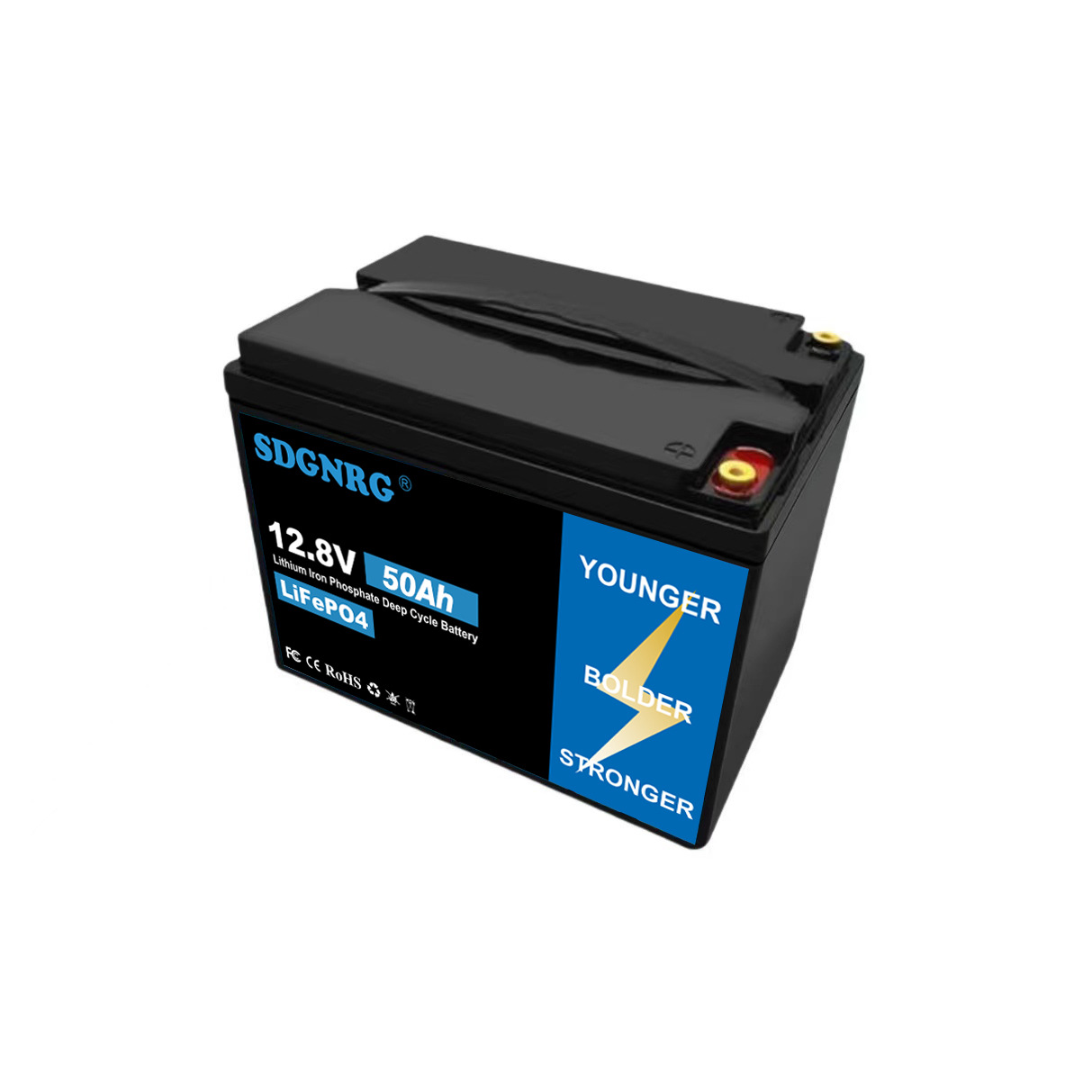 25.6V lead to lithium battery 100ah 200ah RV golf cart solar