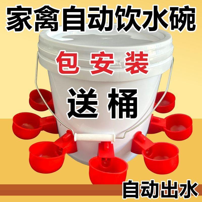 喂鸡食槽水槽一体喂鸡懒人出远门农村自动喂鸡家禽养殖小鸡鸭|undefined