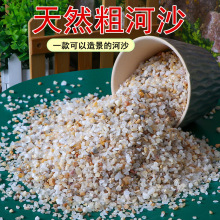 天然粗河沙粗砂多肉铺面石配土细沙子颗粒种植养花用鱼缸造景底砂