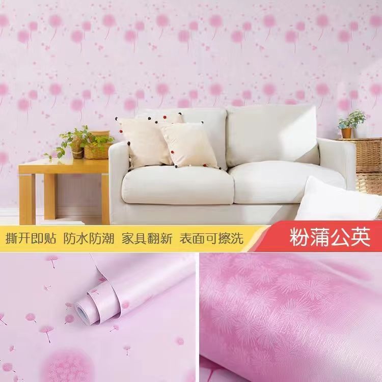 【经典热销】粉蒲公英✦✦