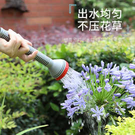 农用花洒喷头 家用浇花浇菜洒直流水喷头水泵塑料莲蓬头雾化喷头