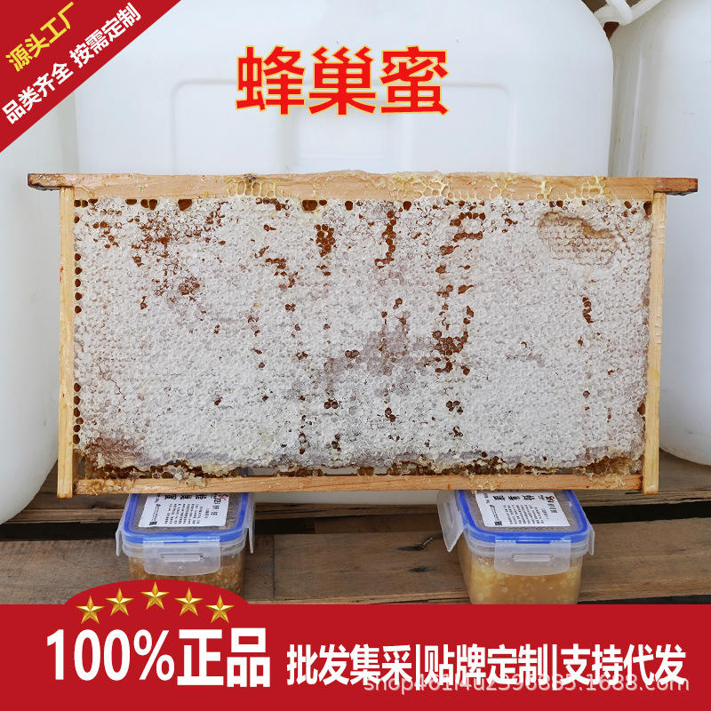 农家自产新鲜蜂巢蜜500g成熟全封盖荆条蜂巢蜜山花蜂蜜土特产批发
