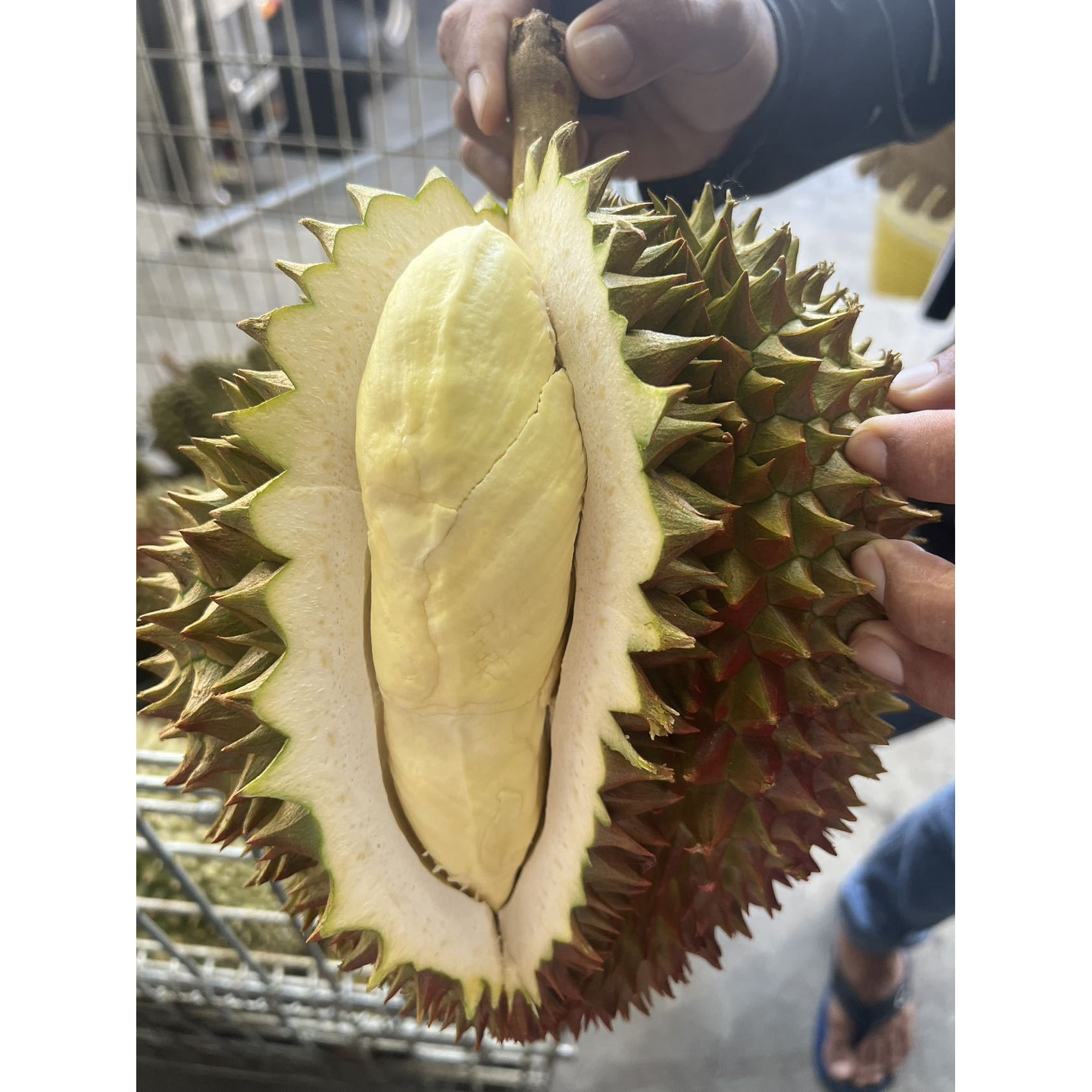 O1CN01tektfM28DKxaMdZD9_!!2208