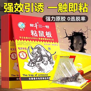 Rhino Sticky Mouse Board Household Strong Adhesive to Kill Large Mice Stickers Hotel Kitchen Thickeneded Mouse Board Mouse Sticky